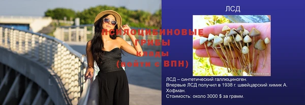 альфа пвп Краснослободск