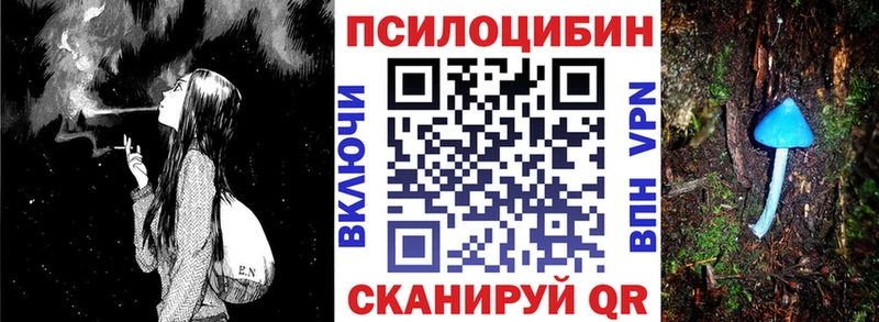 сколько стоит Чадан Галлюциногенные грибы MAGIC MUSHROOMS